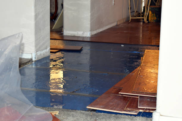 Professional Water Damage Restoration technician working in Delta, AL